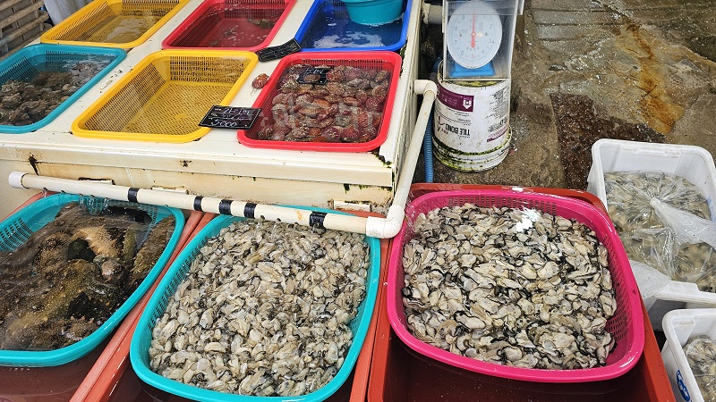 80a5bc64d84b4a43bc717e906ad03eef_1764836202_389.jpg 80a5bc64d84b4a43bc717e906ad03eef_1764836202_389.jpg