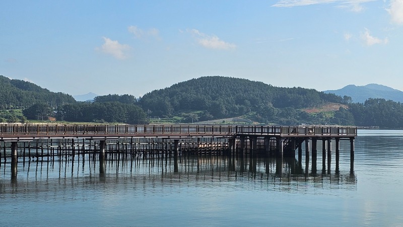 20230910_085408 (1).jpg