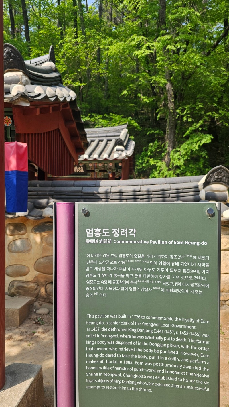 20260502_152300.jpg