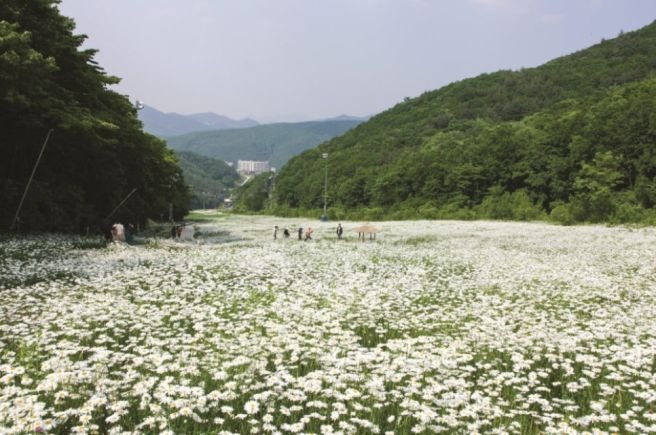 하4.jpg