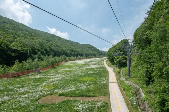 하5.jpg