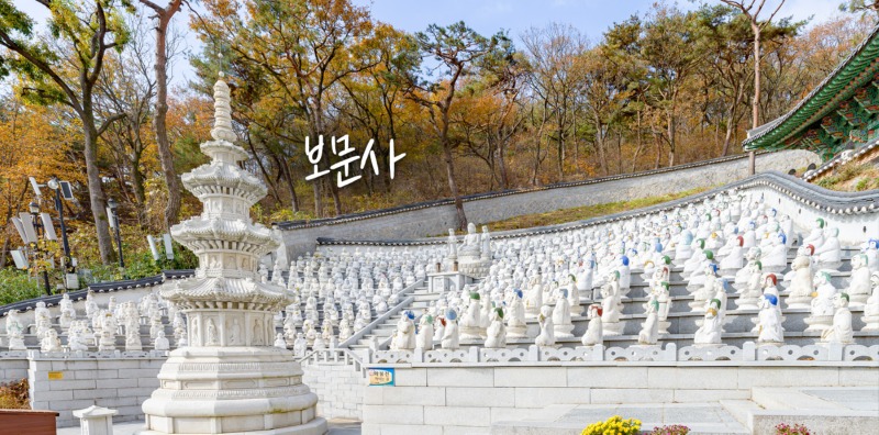 강화보1.jpg