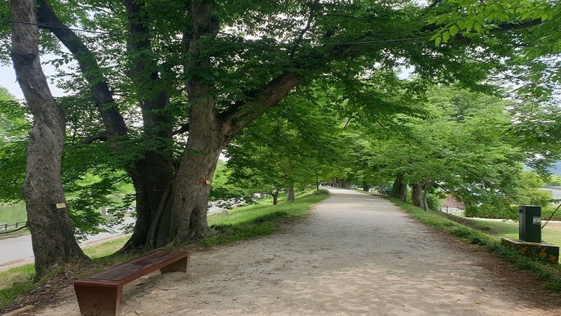 구5.jpg