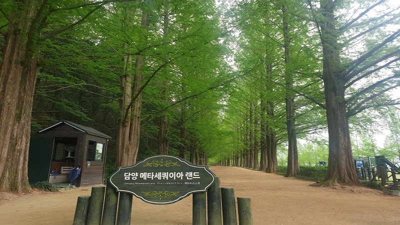 구8.jpg
