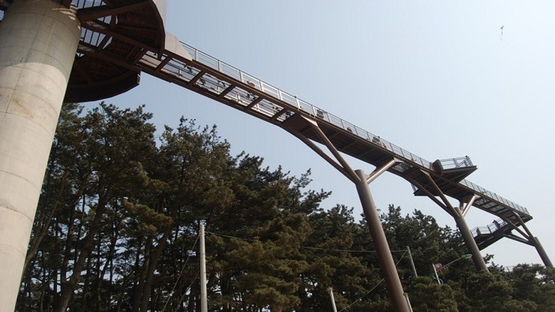 장항8.jpg