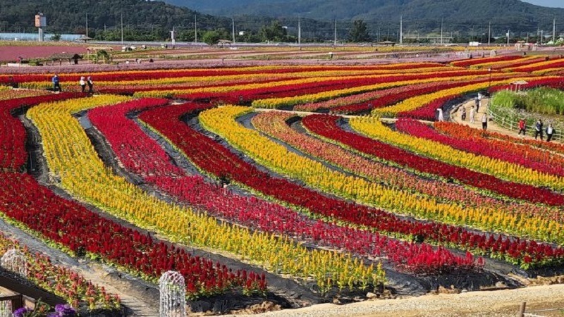 고석1.jpg