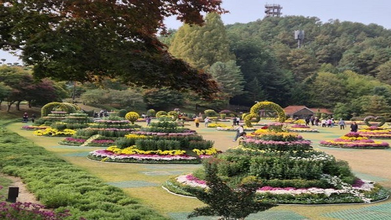 청2.jpg