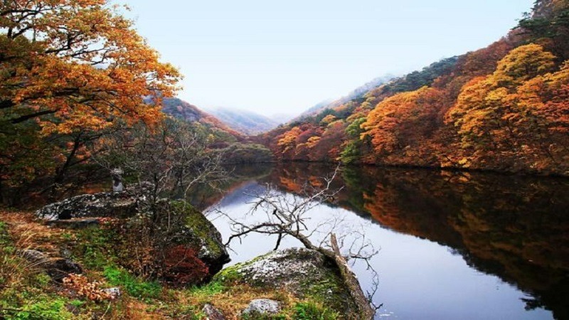 주1.jpg