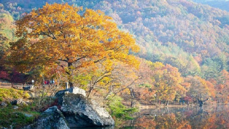 주2.jpg