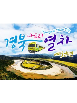 예천 전통시장&예천 활 체험장&회룡포&뿅뿅다리 (당일)